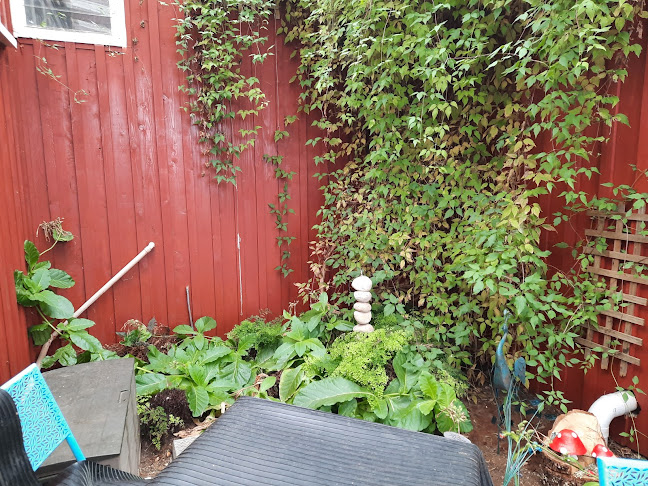 Comments and reviews of Angel Louise Cafe