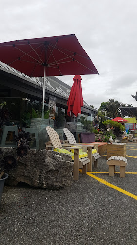 Comentarii opinii despre Pancake Rocks Cafe