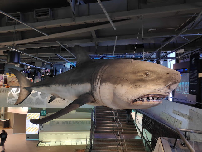 Comments and reviews of Arborio Restaurant, Cafe & Terrace Bar