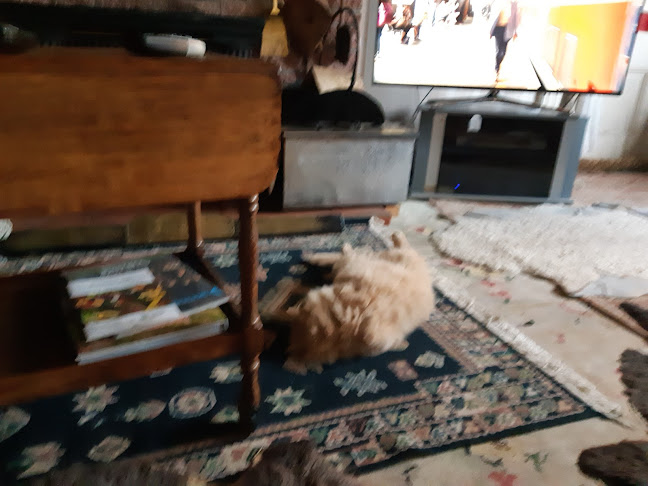 310 Broadway, Marton 4710, New Zealand