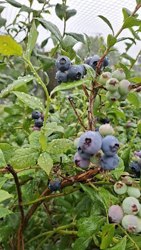 971 Whitemans Valley Road, Whitemans Valley, Upper Hutt 5371, New Zealand