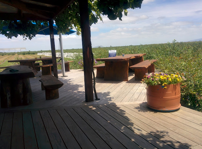 178 Turkington Road, Monavale, Cambridge 3495, New Zealand