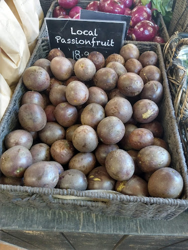 Comentarii opinii despre The Strawberry Patch