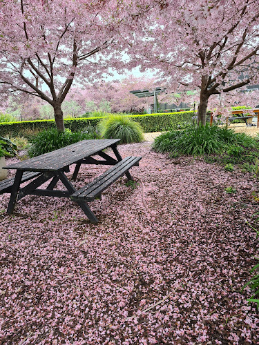 The Corner Stone Cafe - Ngatea