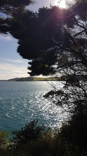 The Hitman - Pukenui