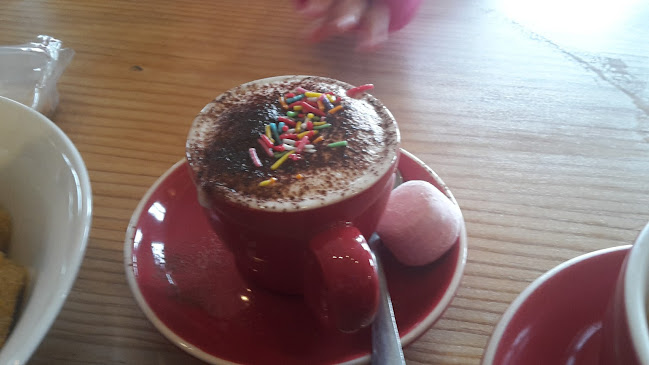 Tarras Country Cafe - Hospitality and gastronomy