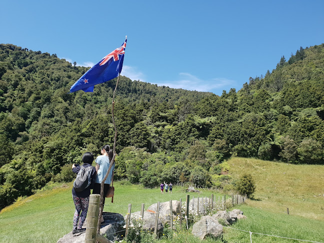 Comentarii opinii despre Paddock 66