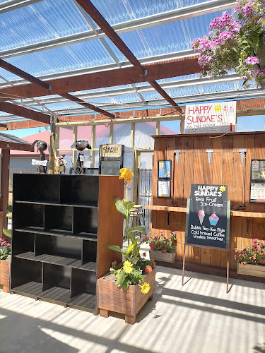 Comentarii opinii despre ZOFS