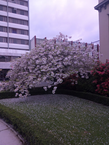 Invercargill Club - Invercargill