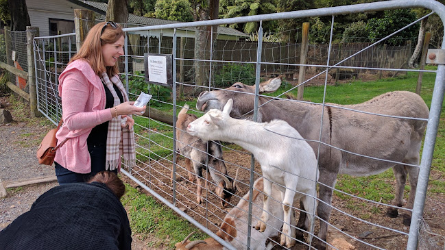 1196 State Highway 5, Tapapa 3485, New Zealand