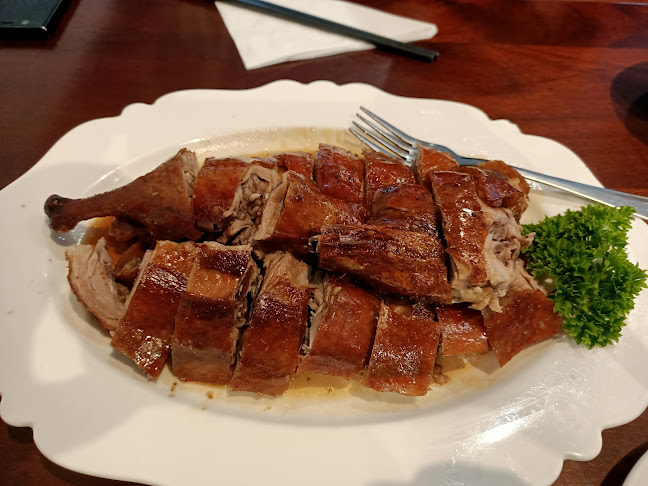 102 Riccarton Road, Riccarton, Christchurch 8041, New Zealand