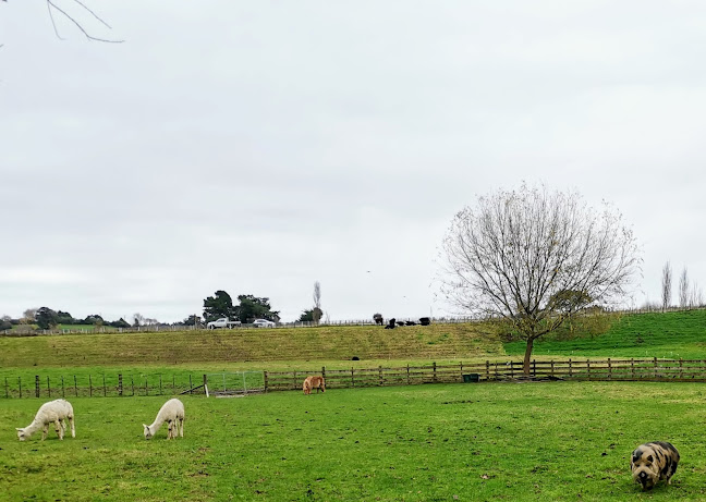 Comentarii opinii despre Murrayfield Cafe