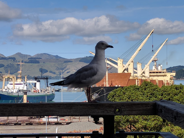 Lyttelton Coffee Co. - Lyttelton