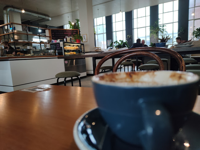 Vanguard Specialty Coffee Co - Dunedin