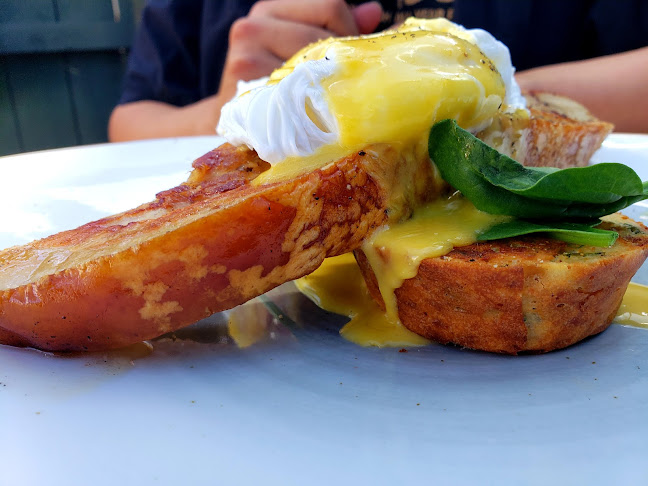 Comments and reviews of Blue Rose.