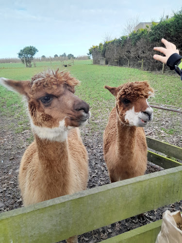 The Shearers Quarters - Hospitality and gastronomy
