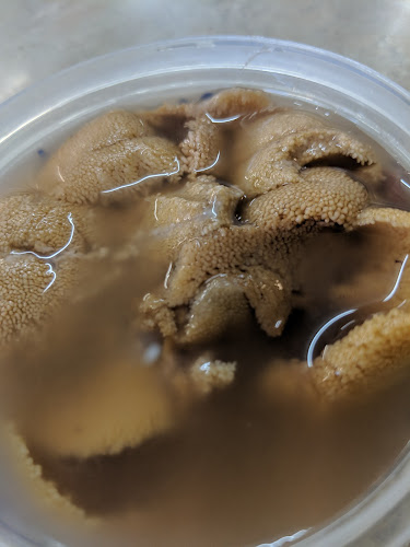 Comentarii opinii despre Seafood Grotto