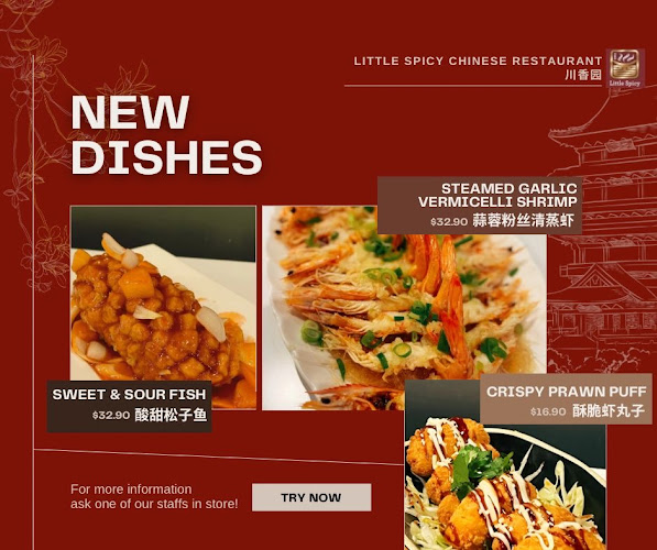 Little Spicy Chinese Restaurant - Christchurch