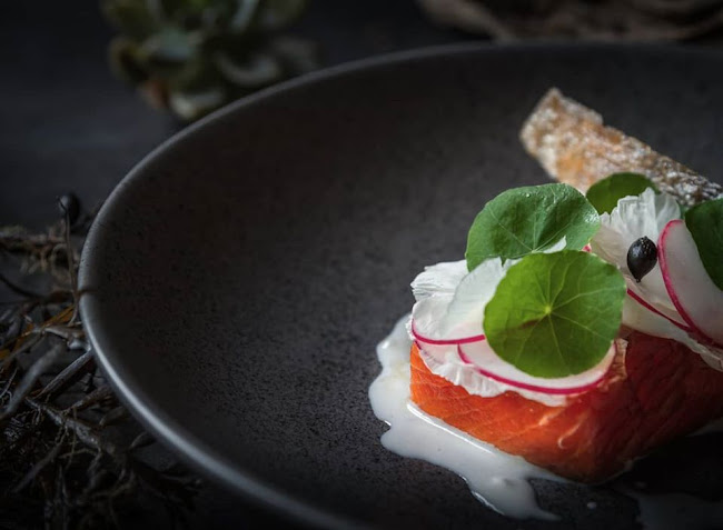 Terra Restaurant - Hospitality and gastronomy