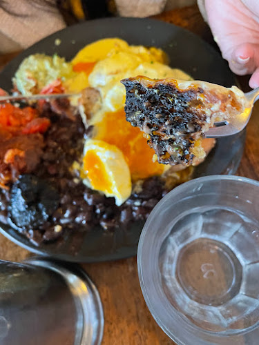 Beach Babylon - Wellington