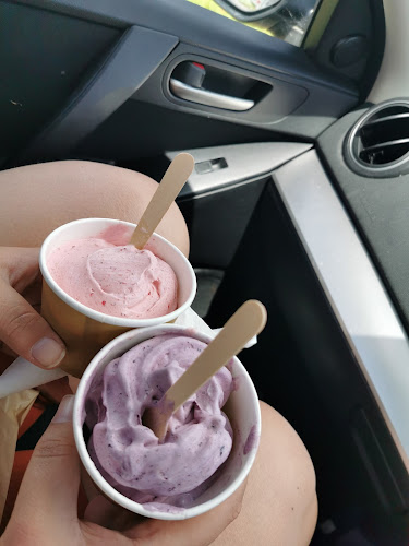 Lot 19 Real Fruit Ice Cream - Hospitality and gastronomy