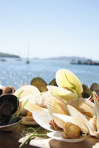 Opinii despre Careys Bay Historic Hotel în Dunedin - Hospitality and gastronomy