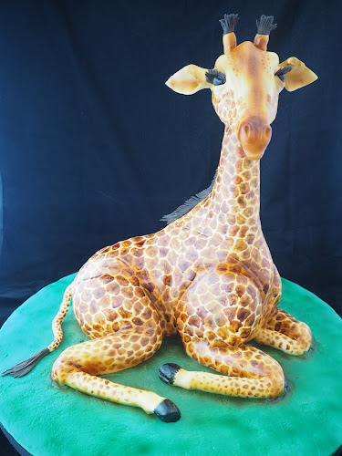 Comentarii opinii despre Cake Makers