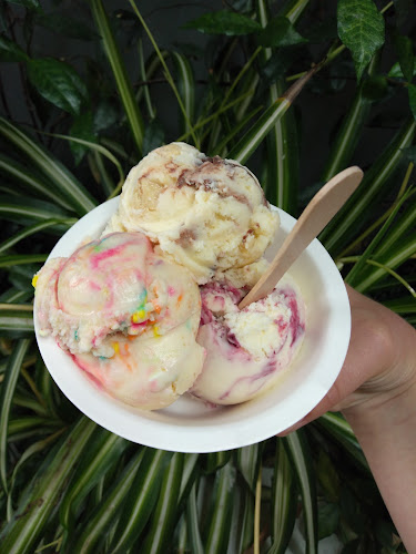 Comentarii opinii despre Duck Island Ice Cream