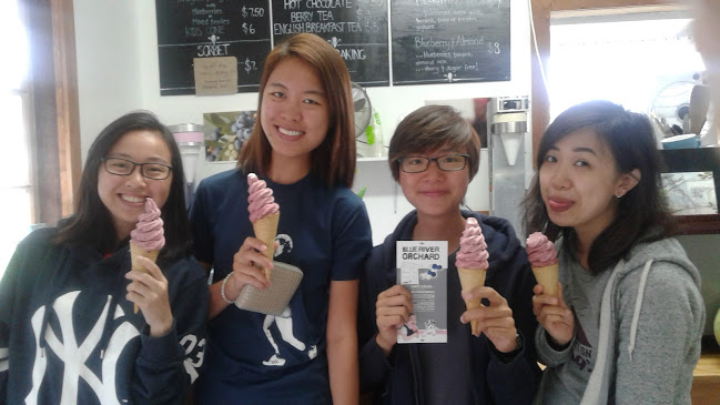 45 Koropewa Road, Waipapa 0295, New Zealand