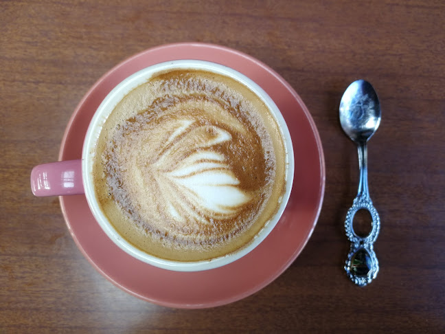 The Shroom Room - Lyttelton