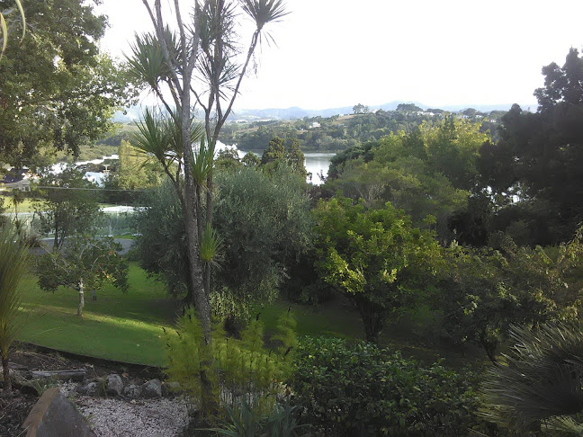 Opinii despre Saltings Estate Vineyard în Matakana - Hospitality and gastronomy