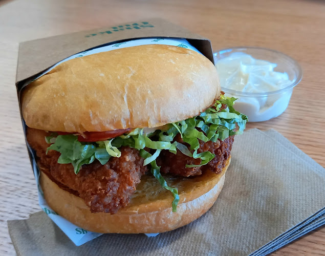 Shake Out Palmerston North - Palmerston North