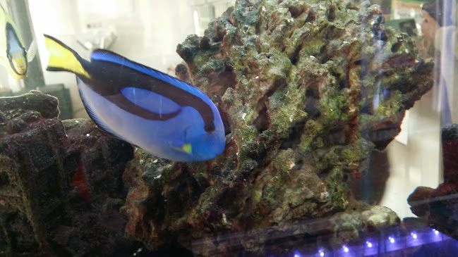 1037 Kaipara Coast Highway, Kaukapakapa 0843, New Zealand