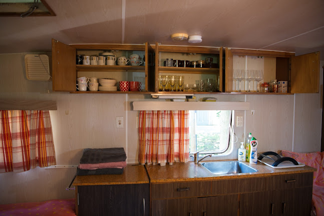 Macadamia Farm - Ōkaihau