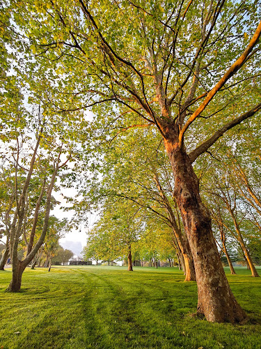 Cornwall Park Cafe - Auckland
