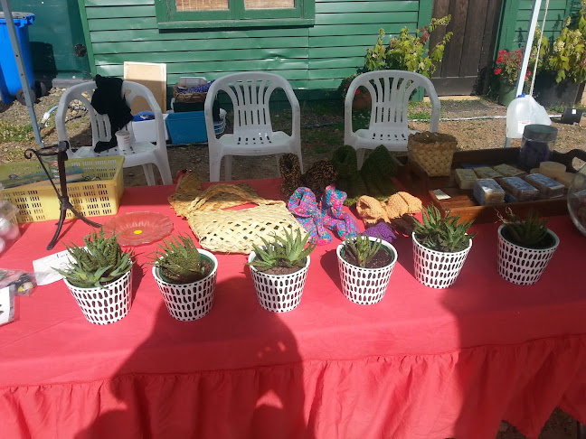 Packing Shed Cafe (Closed)