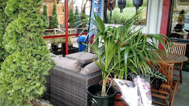 Hobsonville Sandwich Deli and Coffee Open Times