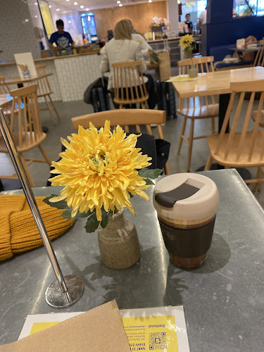 The Gipsy Moth - Hospitality and gastronomy