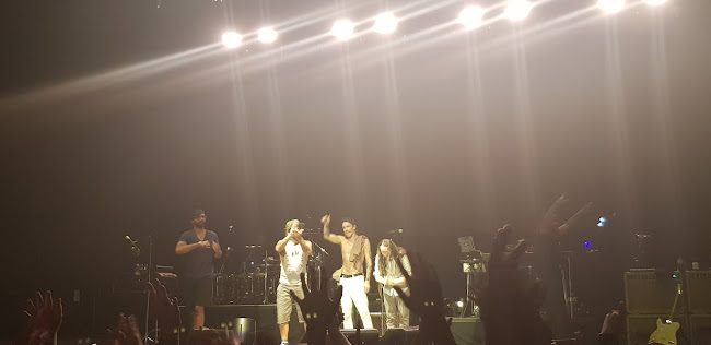 Yellow mirchi Restaurant & bar - Hospitality and gastronomy