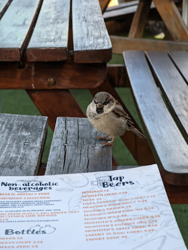 The Backyard Bar & Restaurant - Hospitality and gastronomy