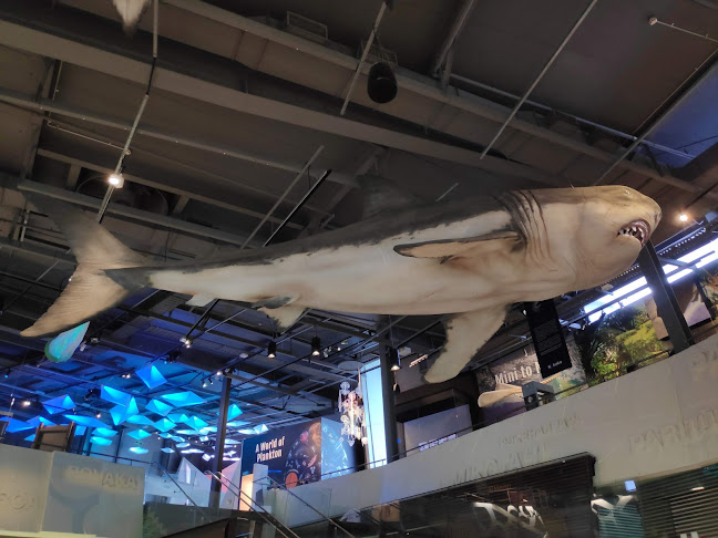 Reviews of Arborio Restaurant, Cafe & Terrace Bar in New Plymouth - Hospitality and gastronomy