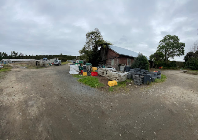 Comentarii opinii despre Barefoot Gardens