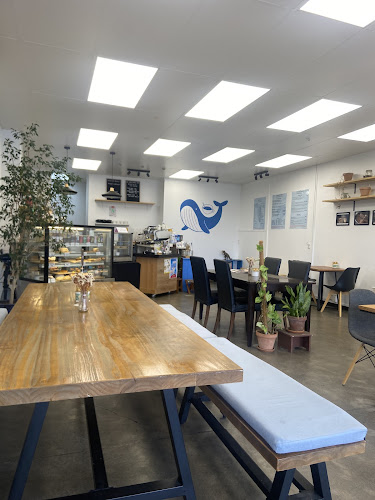 CAFE BLUE WHALE - Hospitality and gastronomy