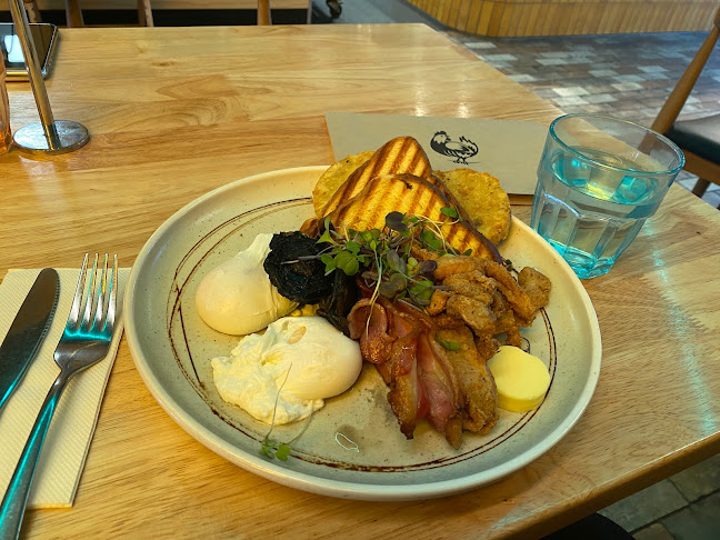 Bird On A Wire - Hamilton East - Hospitality and gastronomy