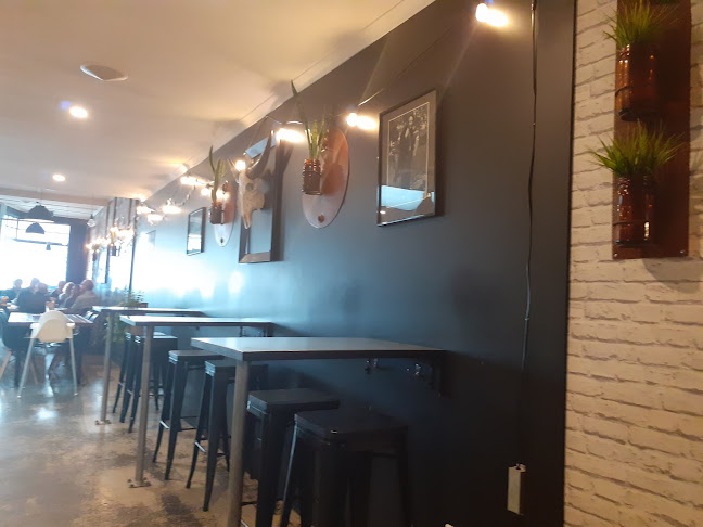 Balter Bar & Kitchen Phone number