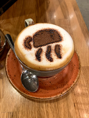 Casablanca Sylvia Park - Auckland