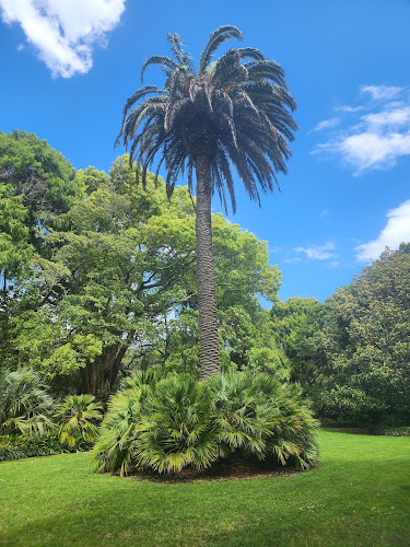 Opinii despre The Suter Cafe în Nelson - Hospitality and gastronomy