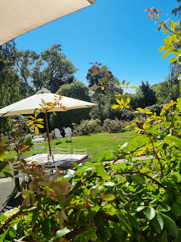 Comentarii opinii despre Melrose House Cafe