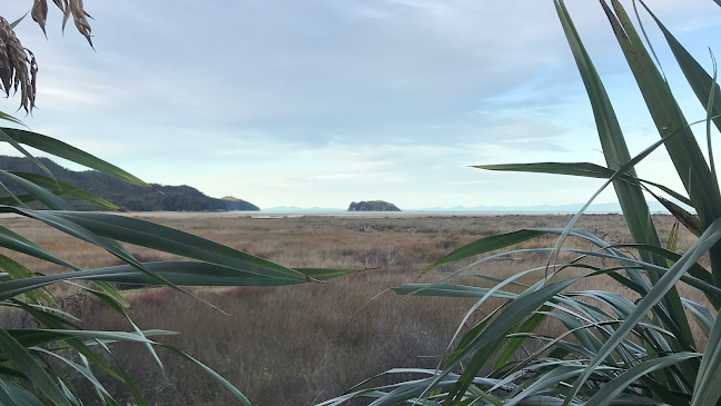 The Park Cafe Marahau - Hospitality and gastronomy