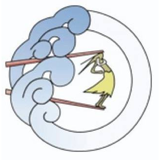 Opinii despre Aroha Sushi Raglan în Raglan - Hospitality and gastronomy